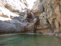 canyon sierra guara 17